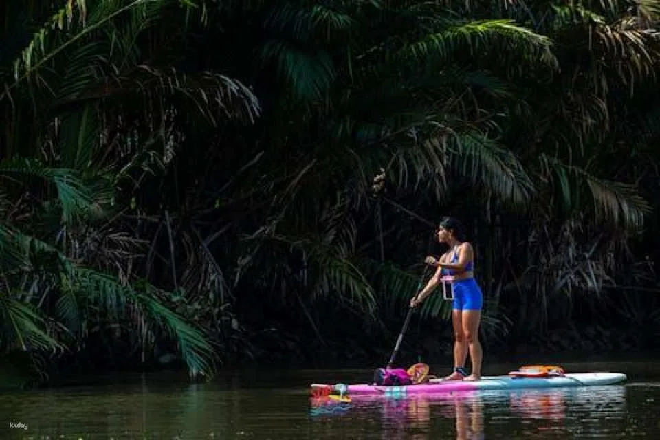 Samut Songkhram 1-day pass for culture, food and fun