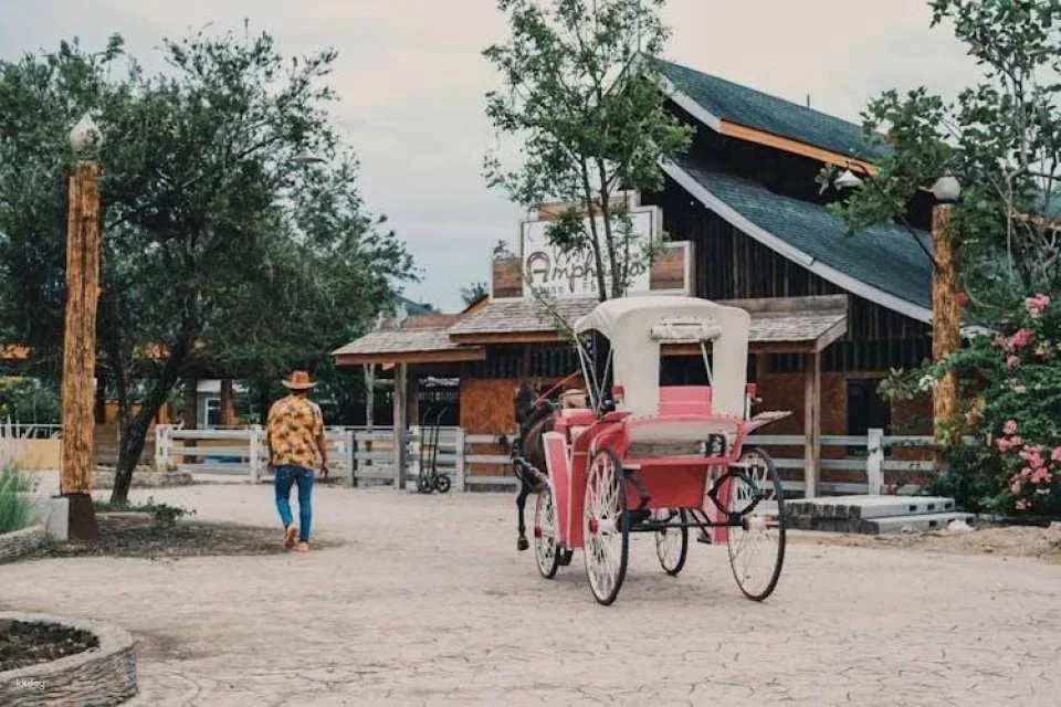 Samut Songkhram 1-day pass for culture, food and fun