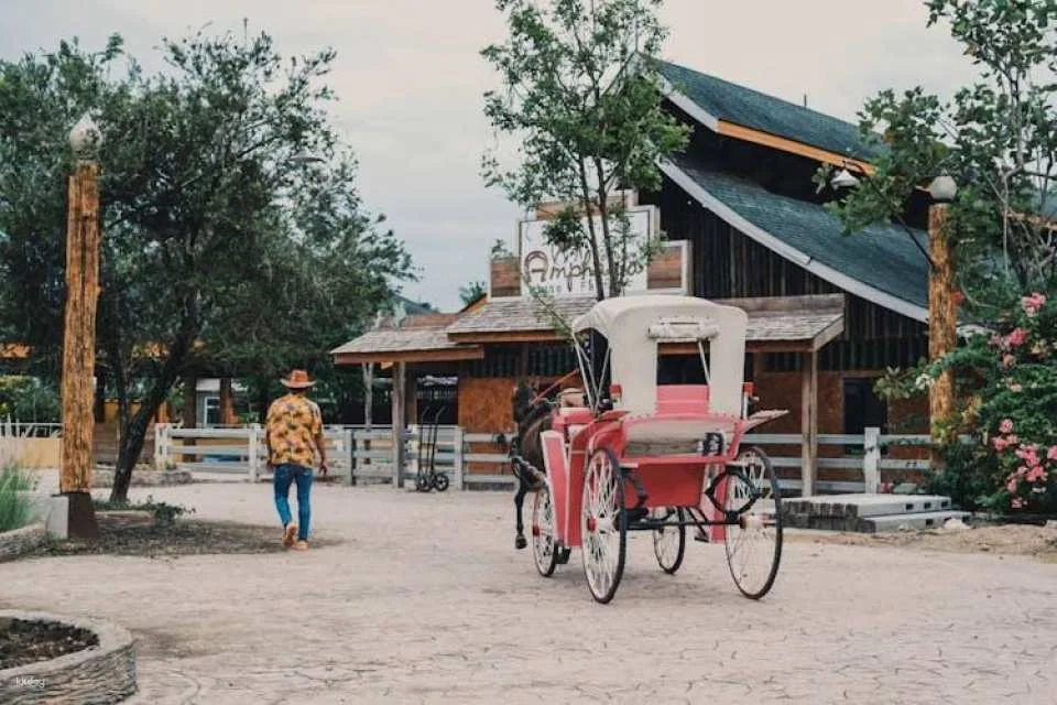 Samut Songkhram 1-day pass for culture, food and fun