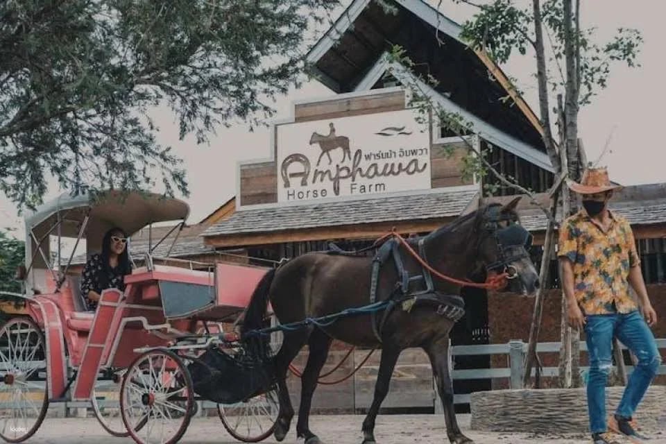 Samut Songkhram 1-day pass for culture, food and fun