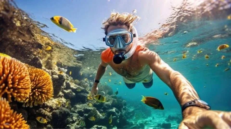 Daymaniyat Island Tour with Snorkelling