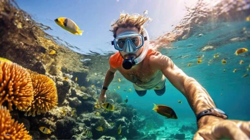 Daymaniyat Island Tour with Snorkelling