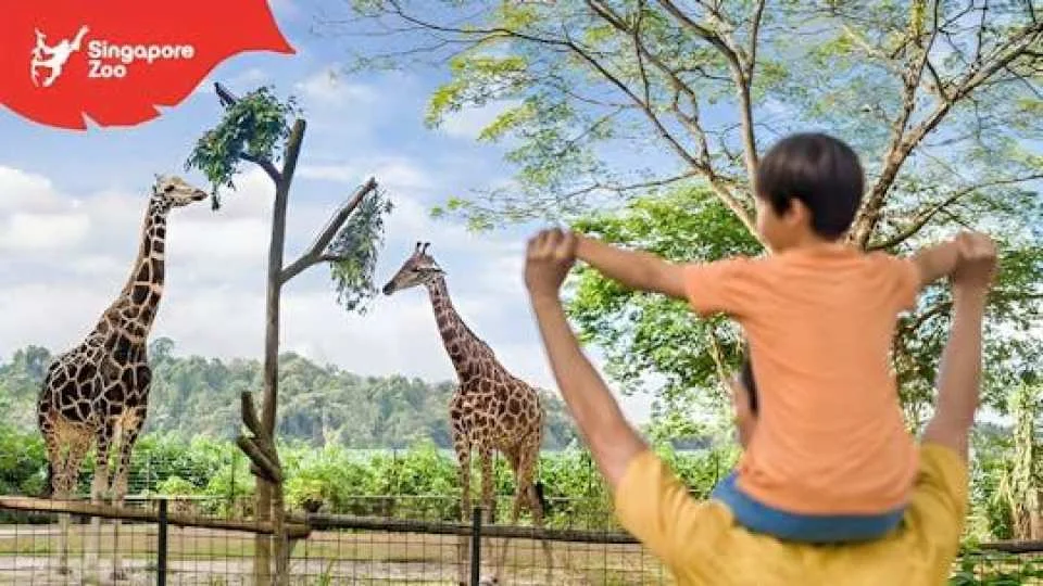 Singapore Zoo Entrance Ticket Including Tram