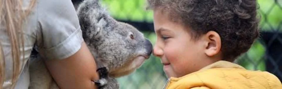Australian Reptile Park entrance tickets