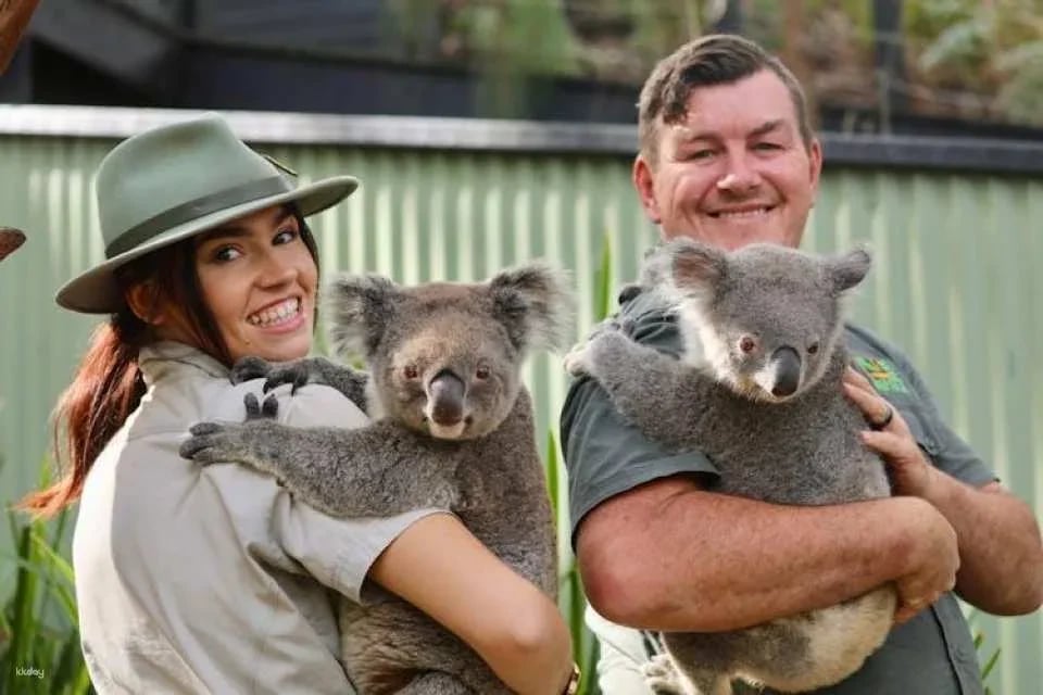 Australian Reptile Park entrance tickets
