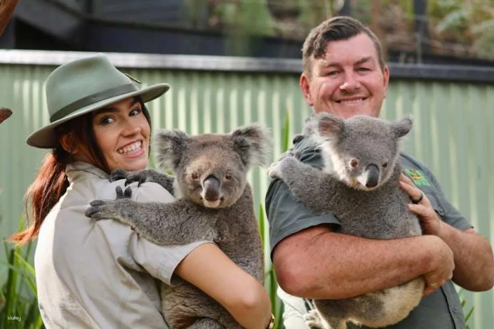 Australian Reptile Park entrance tickets