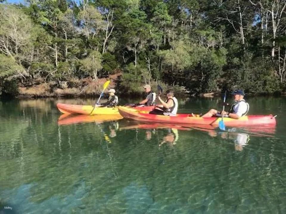 Brunswick River nature kayak tour