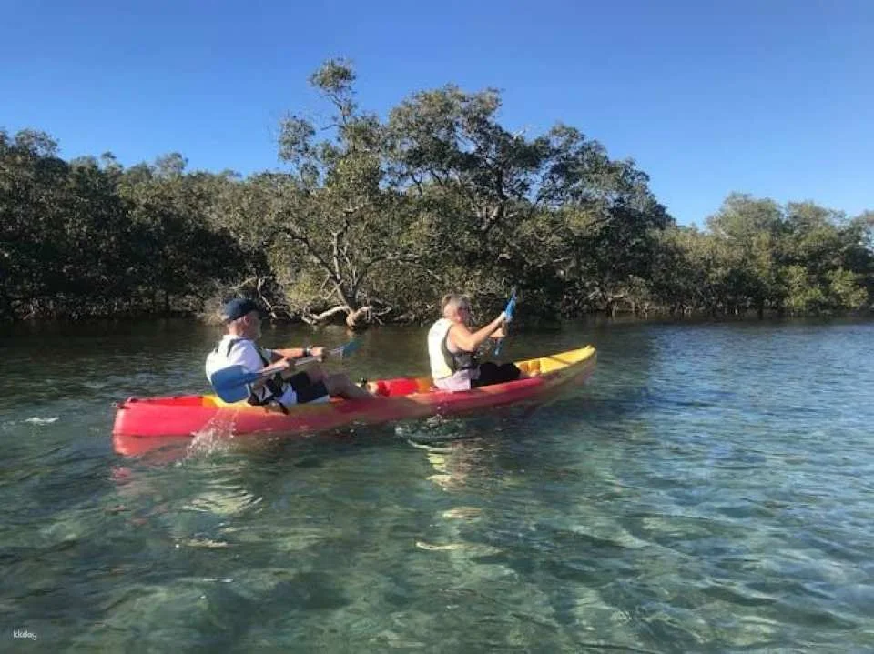 Brunswick River nature kayak tour