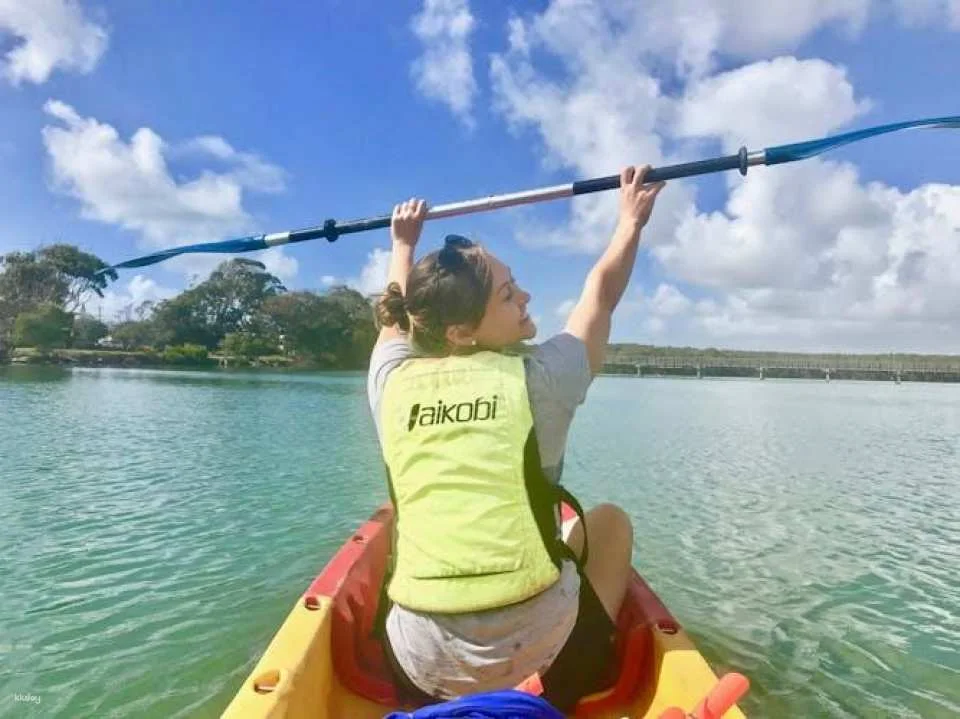 Brunswick River nature kayak tour