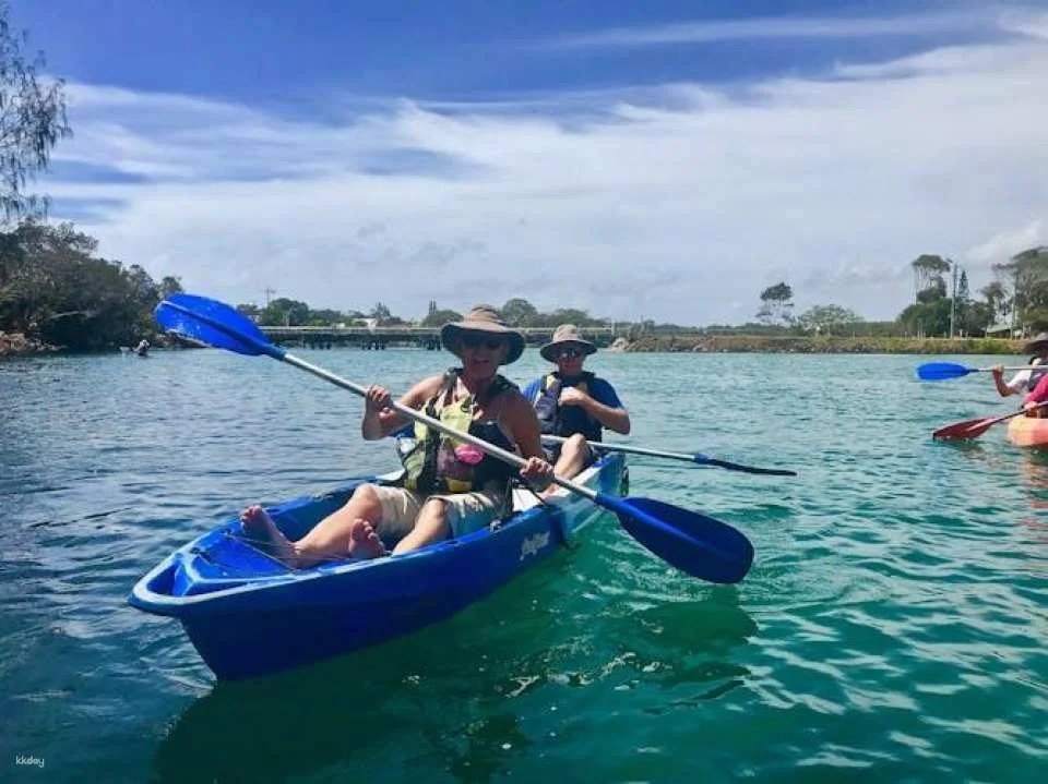 Brunswick River nature kayak tour