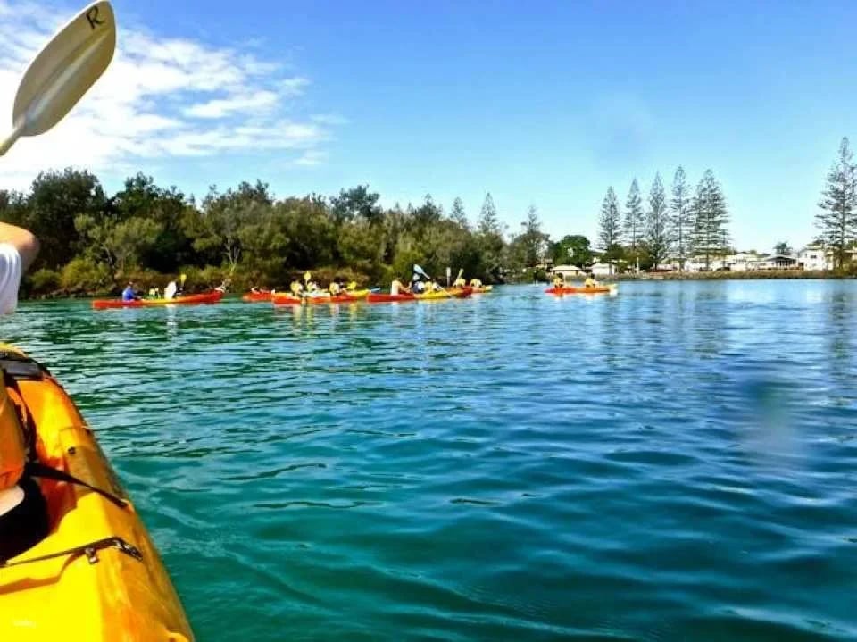 Brunswick River nature kayak tour