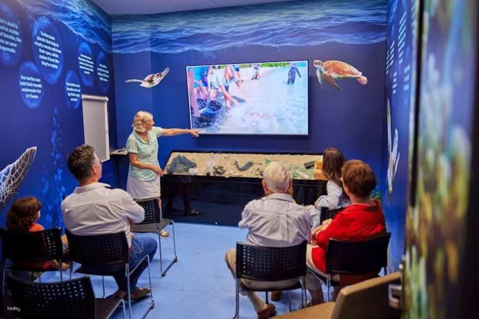 Cairns aquarium Turtle Hospital tour and entrance ticket
