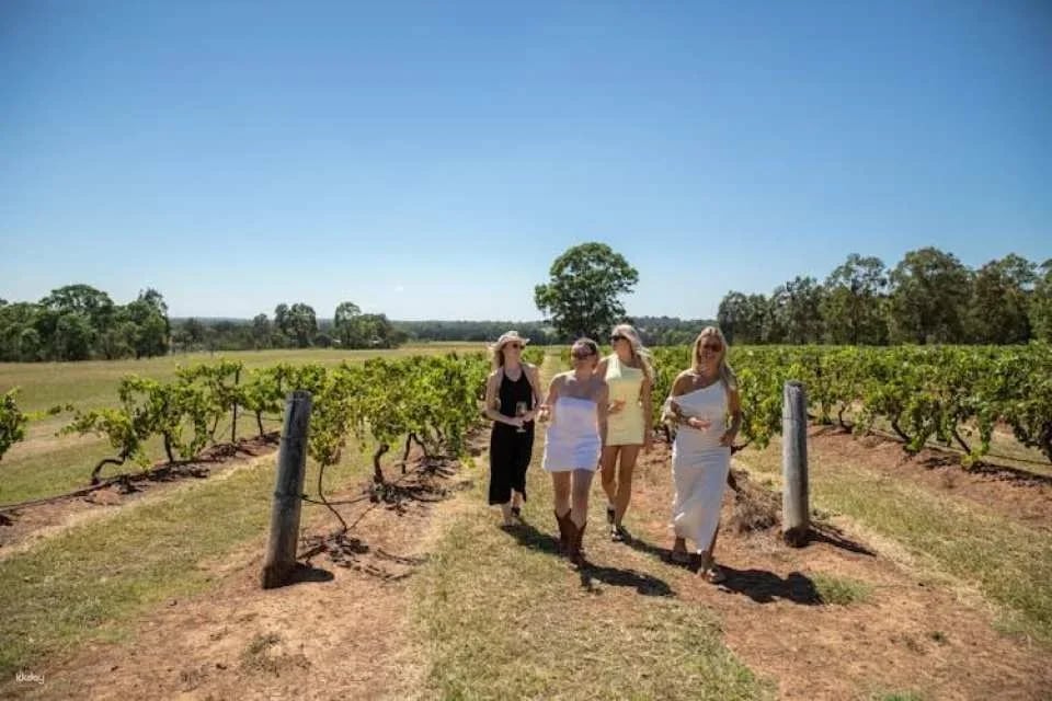 Hunter Valley wine tour with lunch from Sydney