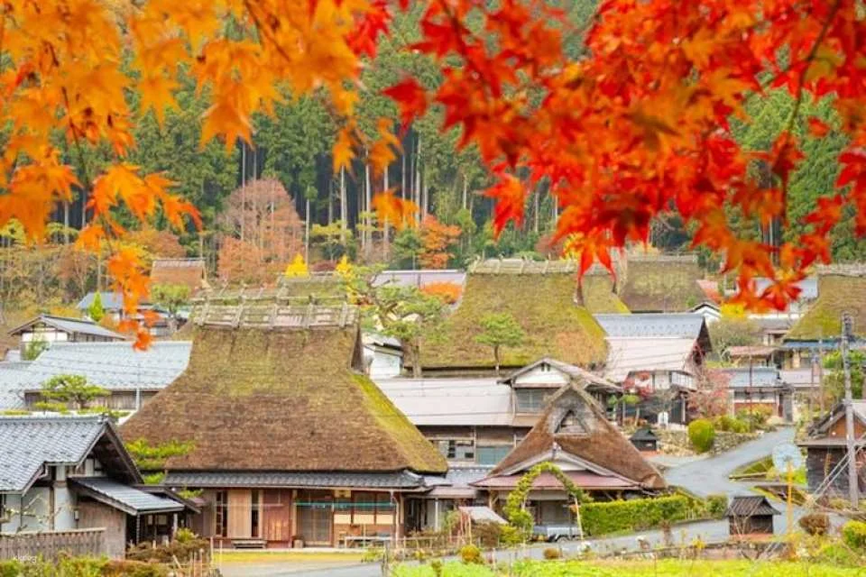 Ine Town, Amanohashidate and Miyama Village Full-Day Tour from Osaka