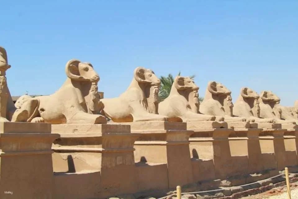 Karnak Temple, Sphinx Alley and Luxor Temple tour from Luxor
