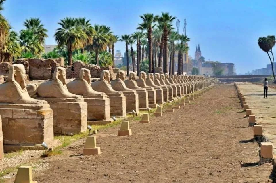 Karnak Temple, Sphinx Alley and Luxor Temple tour from Luxor