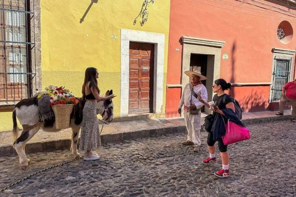 San Miguel de Allende guided tour from Mexico City
