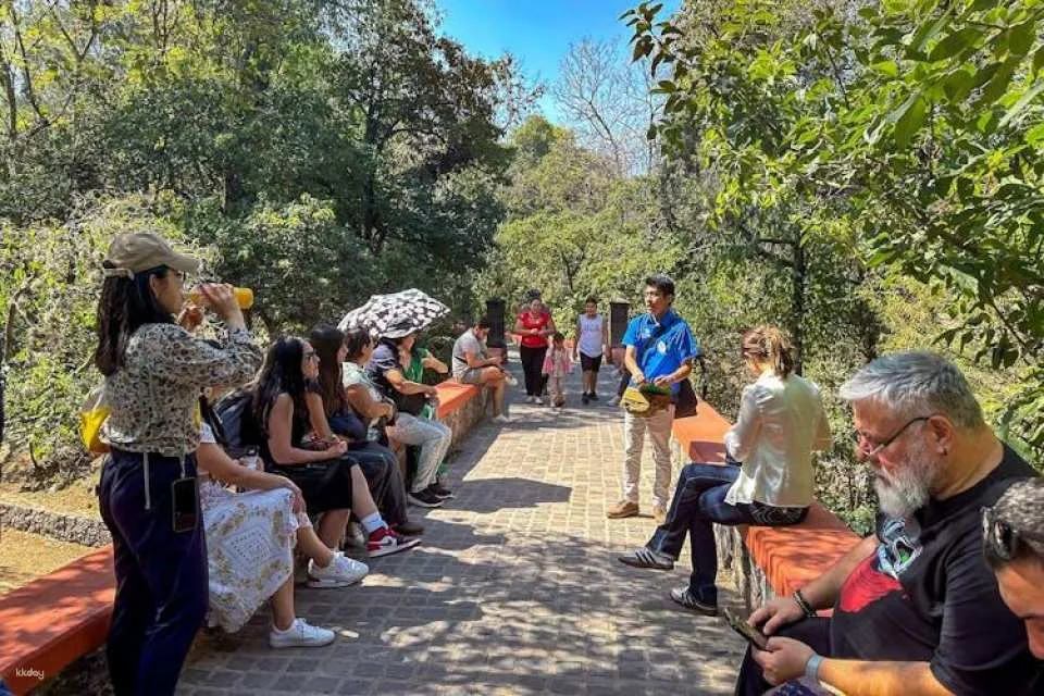 San Miguel de Allende guided tour from Mexico City
