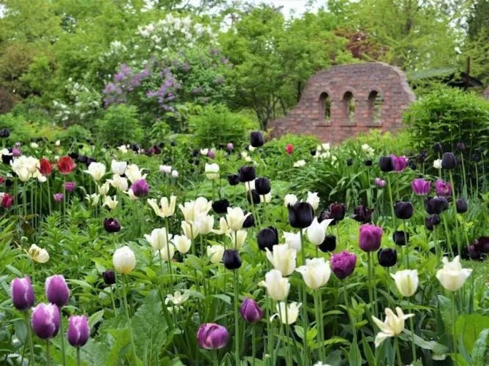 Ueno Farm Admission Ticket and NAYA Café Experience
