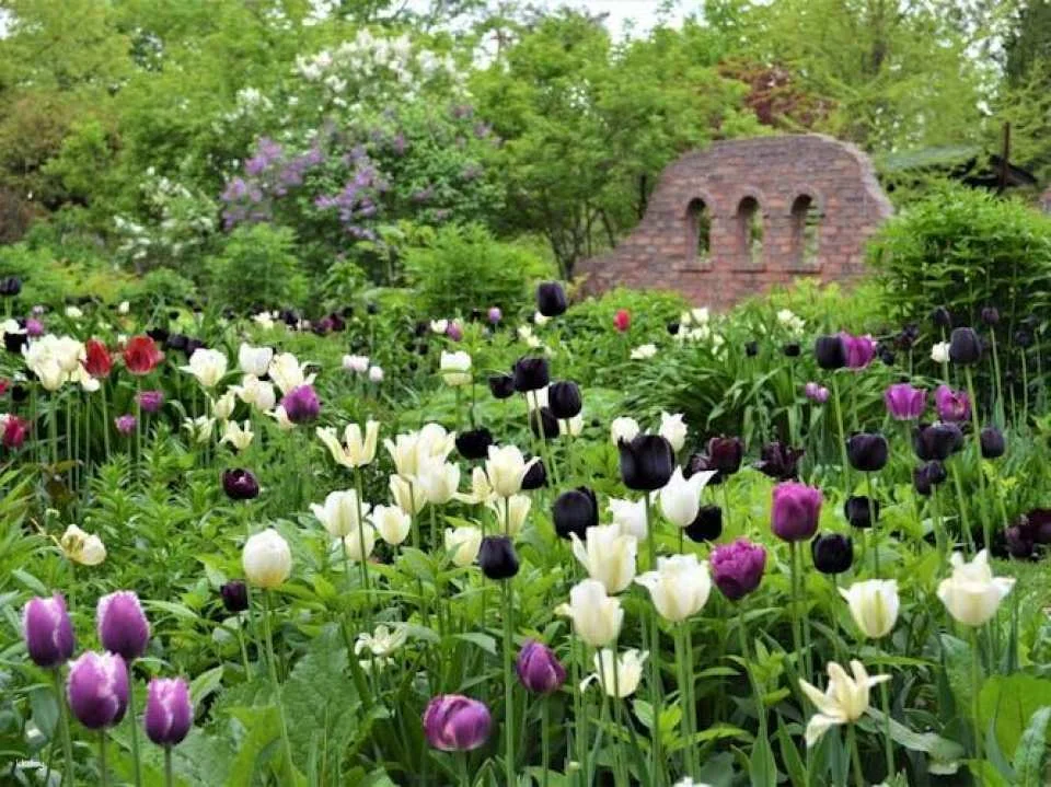 Ueno Farm Admission Ticket and NAYA Café Experience