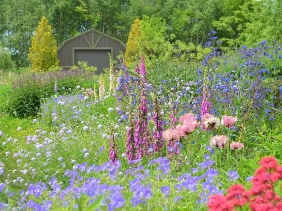 Ueno Farm Admission Ticket and NAYA Café Experience