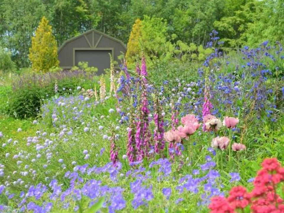 Ueno Farm Admission Ticket and NAYA Café Experience