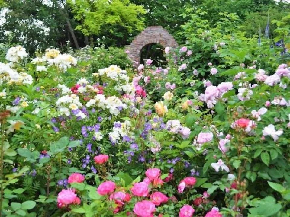 Ueno Farm Admission Ticket and NAYA Café Experience
