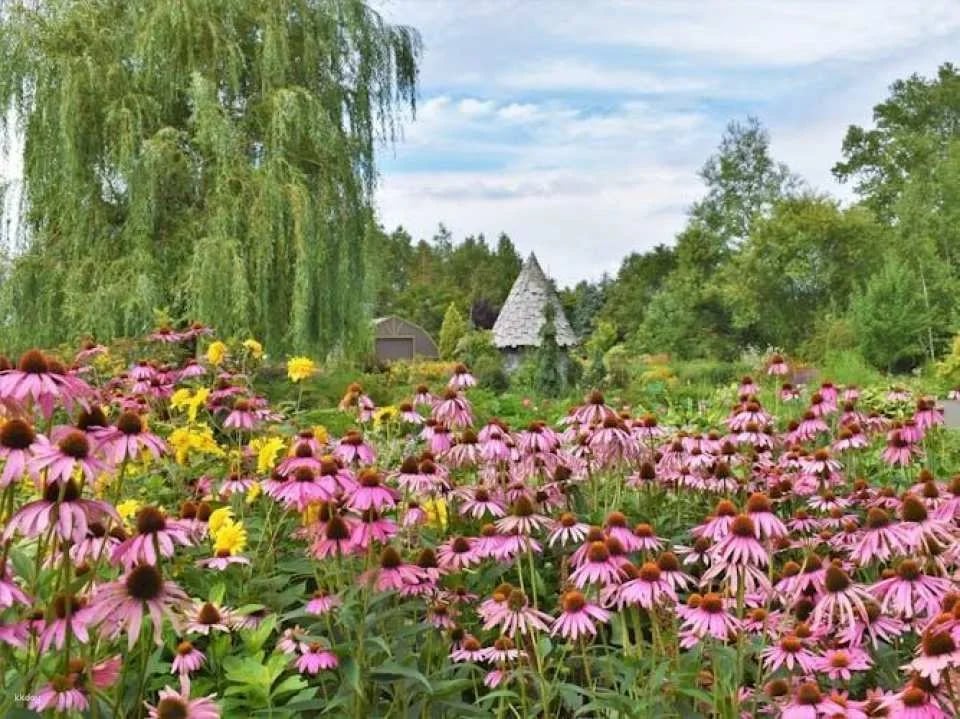 Ueno Farm Admission Ticket and NAYA Café Experience