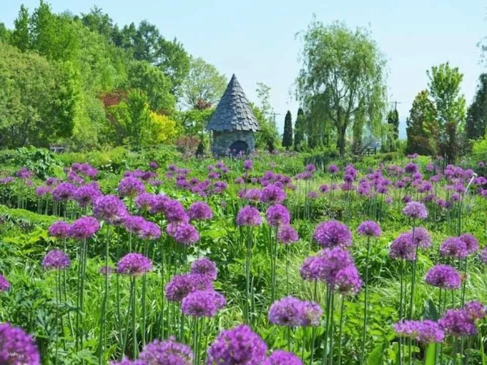 Ueno Farm Admission Ticket and NAYA Café Experience