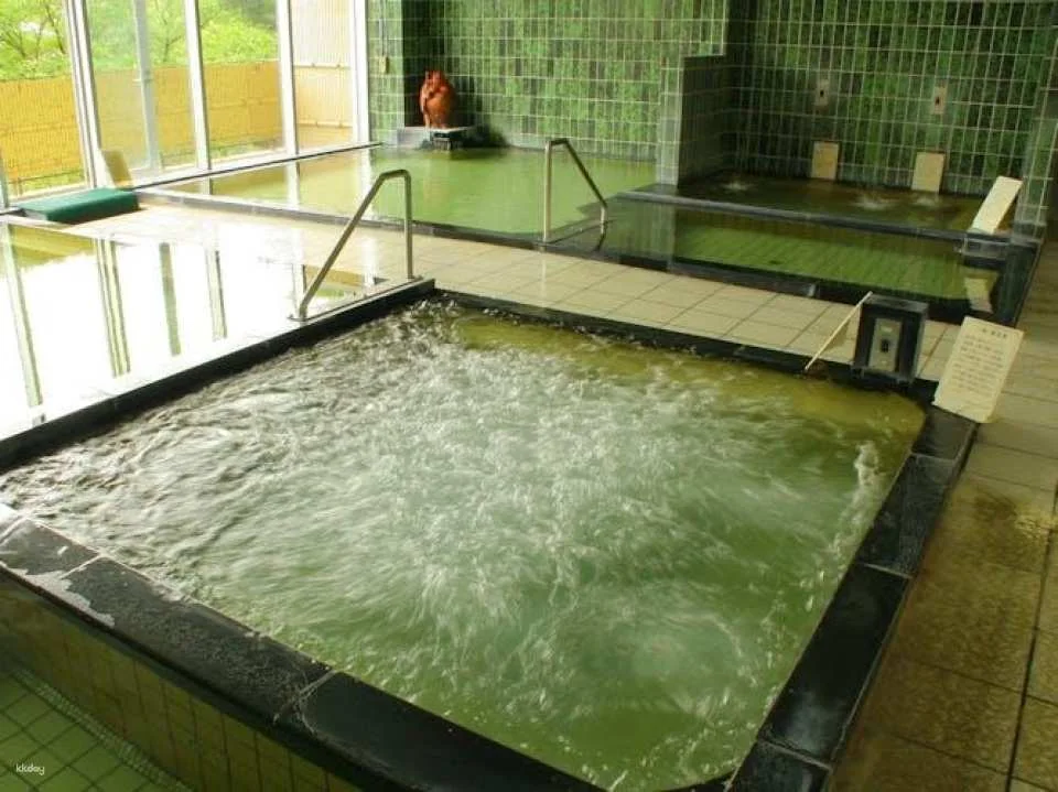 Hot Spring Experience at Hotel Kaminoyu Onsen in Yamanashi