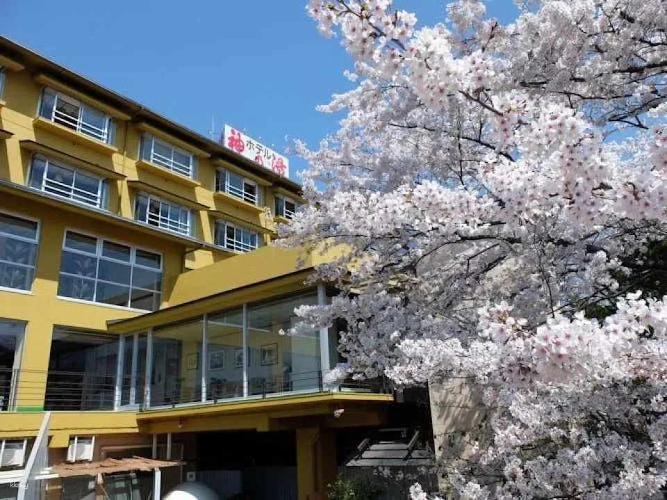 Hot Spring Experience at Hotel Kaminoyu Onsen in Yamanashi