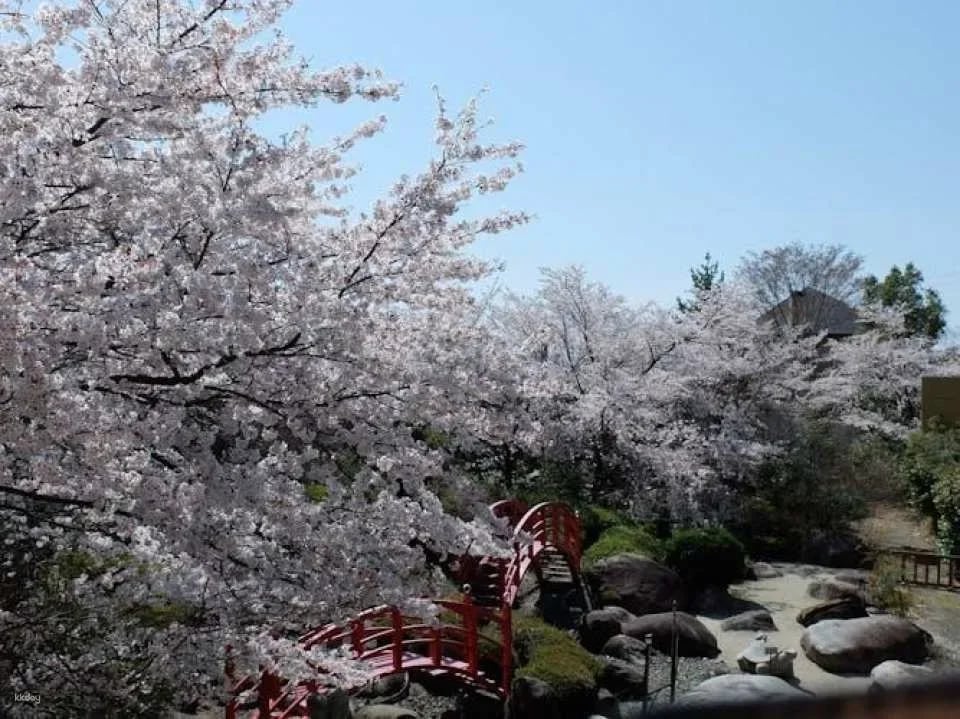 Hot Spring Experience at Hotel Kaminoyu Onsen in Yamanashi