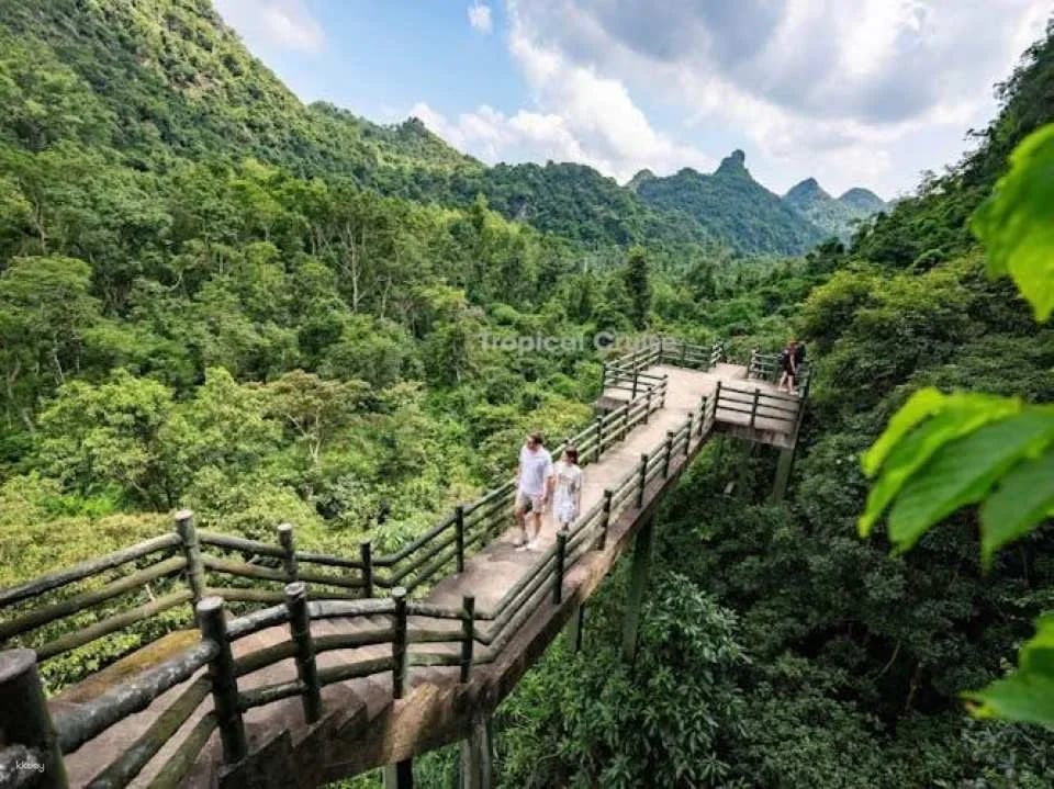 Lan Ha Bay and Cat Ba Island guided day tour