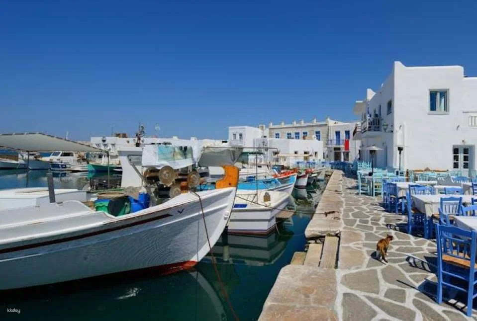 Paros Island Tour with Lunch
