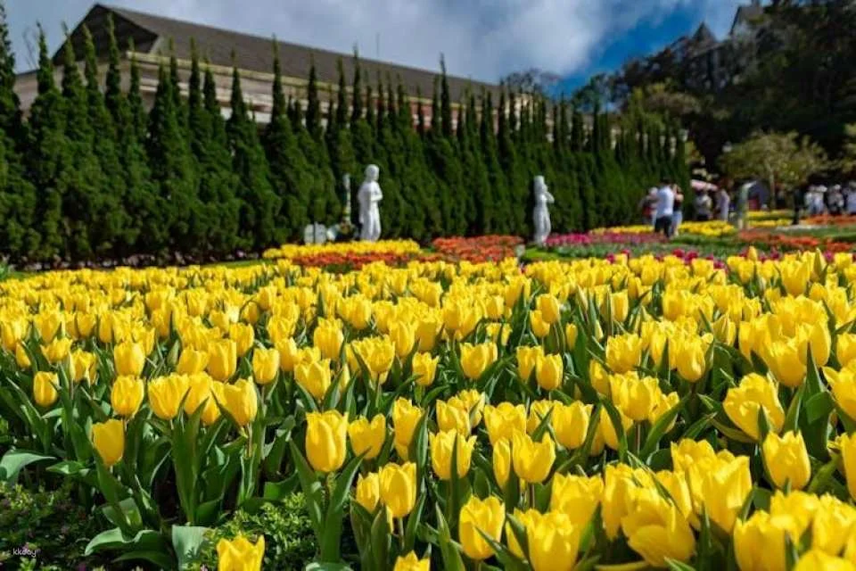Ba Na Hills Sun World and Golden Bridge day tour from Da Nang