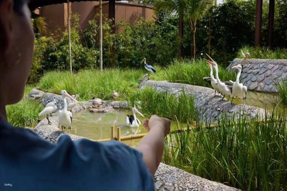 Entrance tickets to Bird Paradise