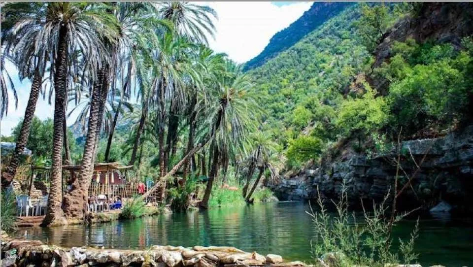 Valley Paradise half-day guided tour from Agadir