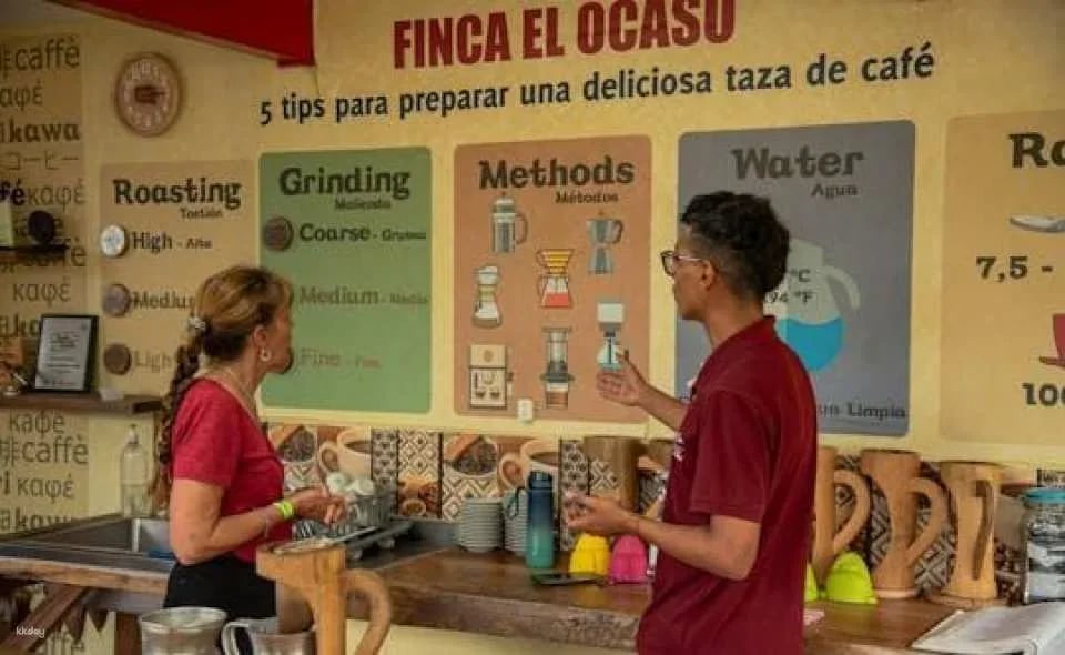 Finca El Ocaso guided coffee farm tour with tasting
