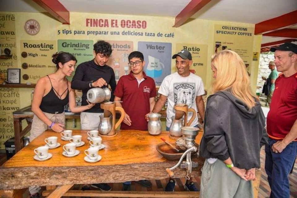 Finca El Ocaso guided coffee farm tour with tasting