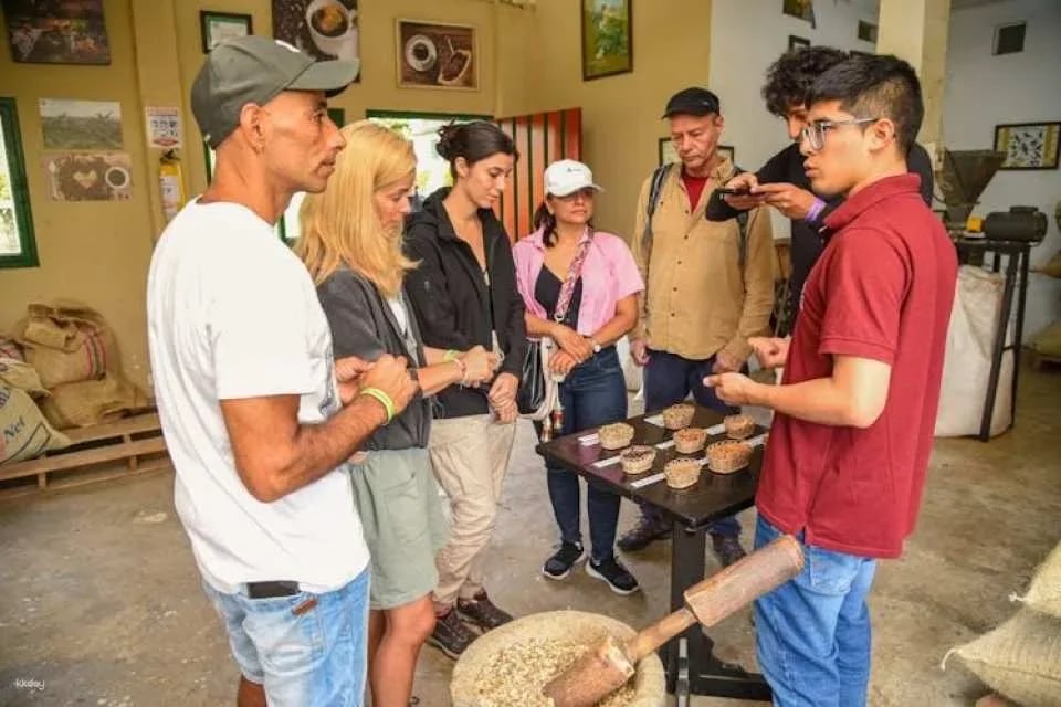 Finca El Ocaso guided coffee farm tour with tasting