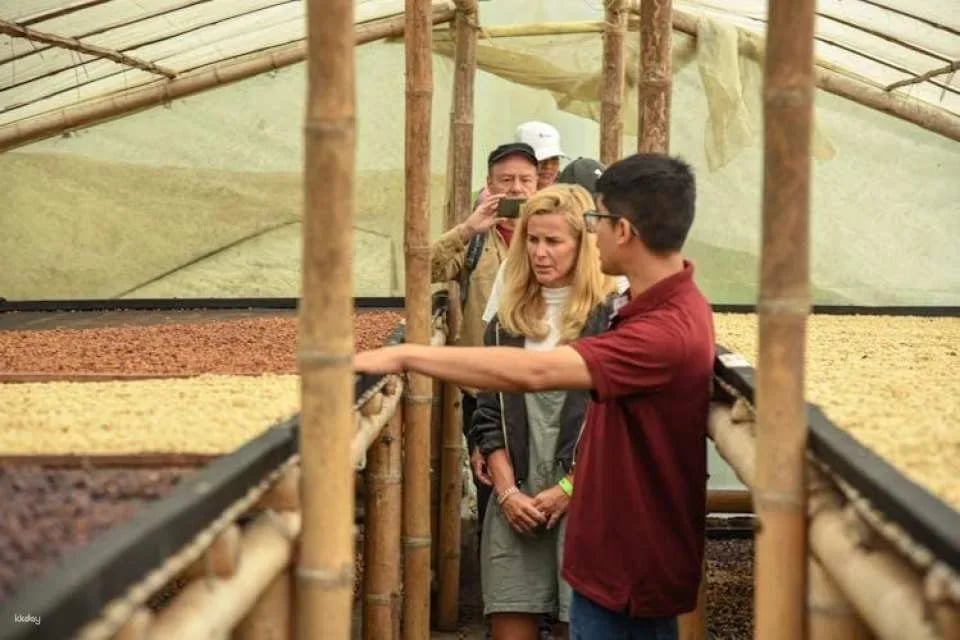 Finca El Ocaso guided coffee farm tour with tasting