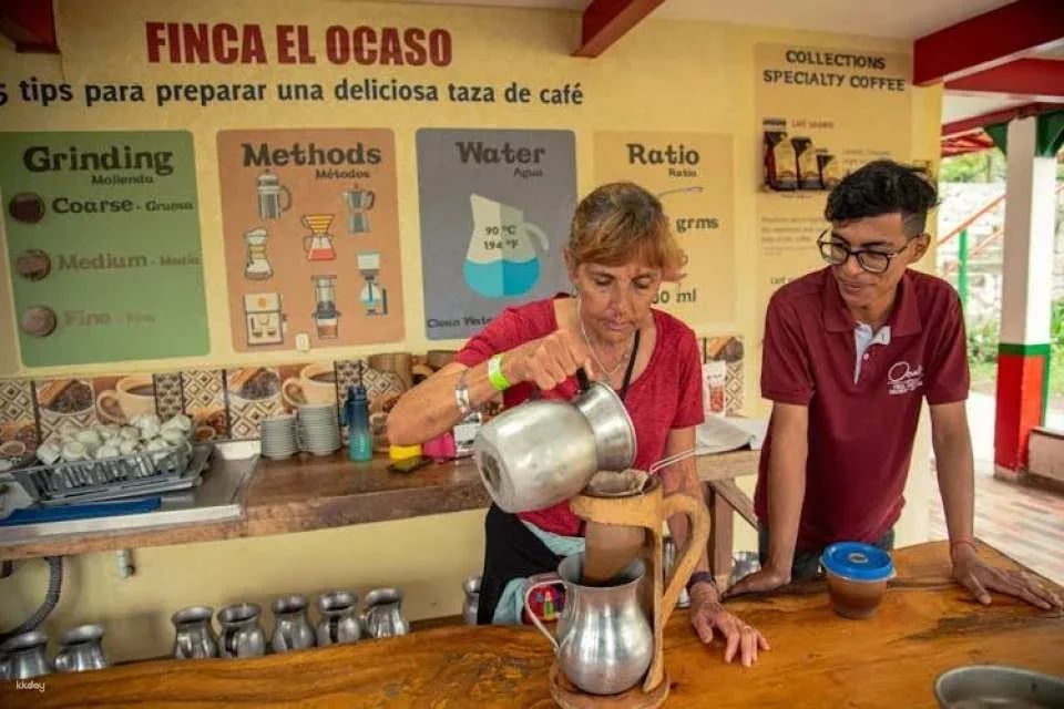 Finca El Ocaso guided coffee farm tour with tasting