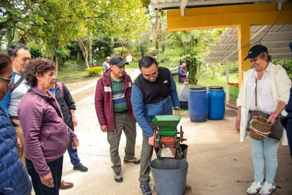 Finca El Ocaso guided coffee farm tour with tasting