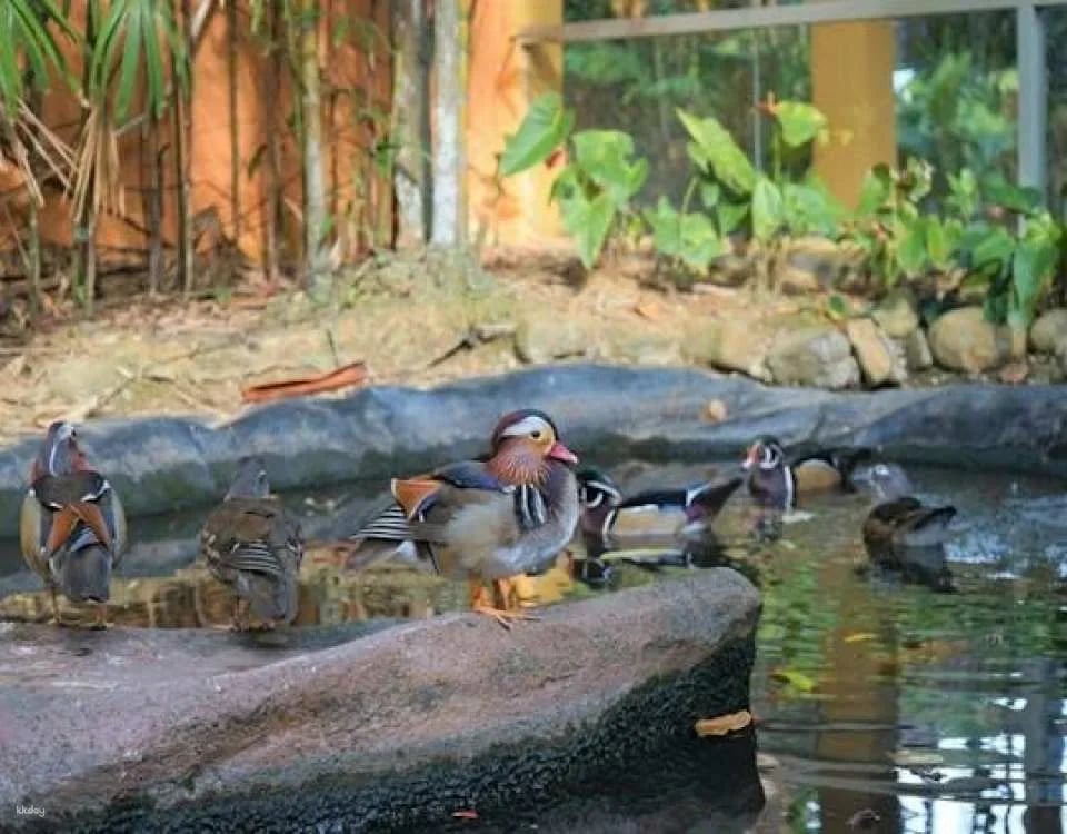 Entrance e-ticket for Langkawi Wildlife Park