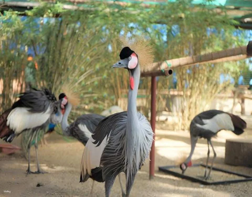 Entrance e-ticket for Langkawi Wildlife Park