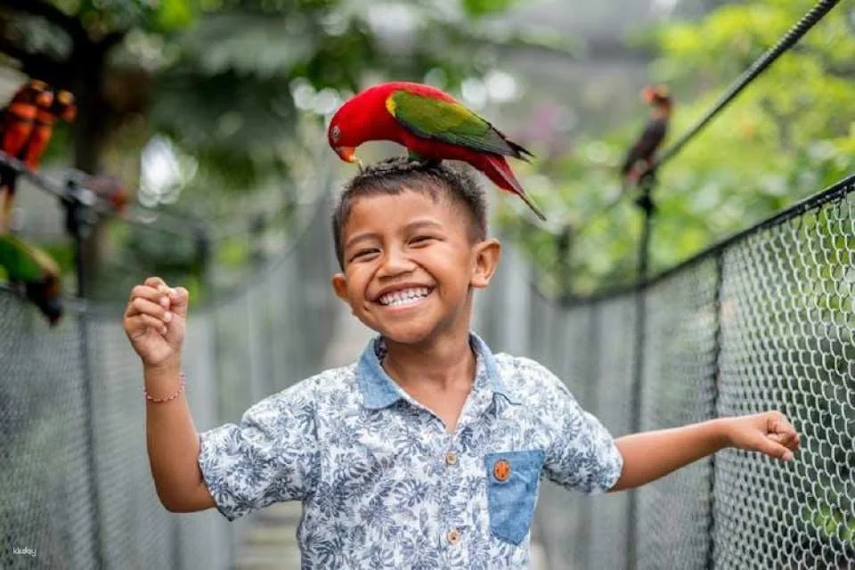 Bali Bird Park entrance ticket