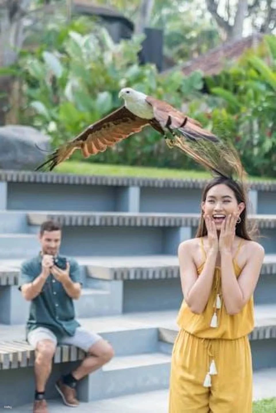 Bali Bird Park entrance ticket