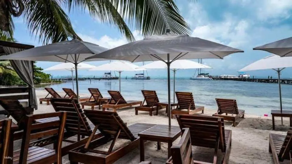 Isla Mujeres catamaran all-inclusive tour from Cancún