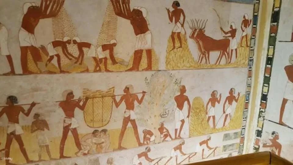 Guided tour of Valley of the Nobles, Medinat Habu and The Ramesseum from Luxor