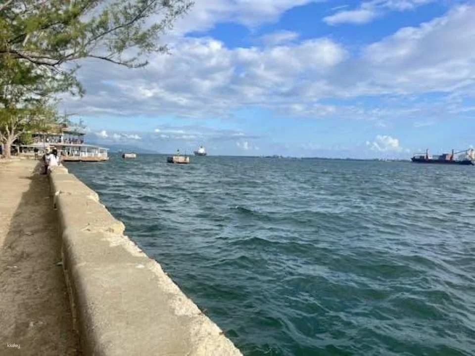 Kingston full-day guided tour (619631)